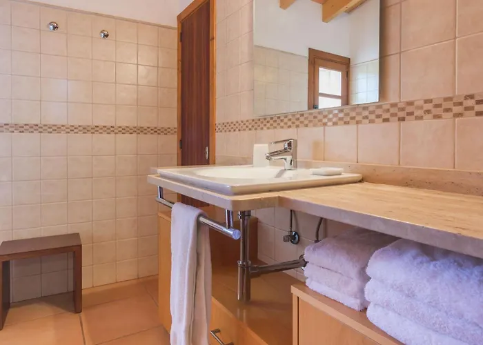 Vinya Palma de Mallorca